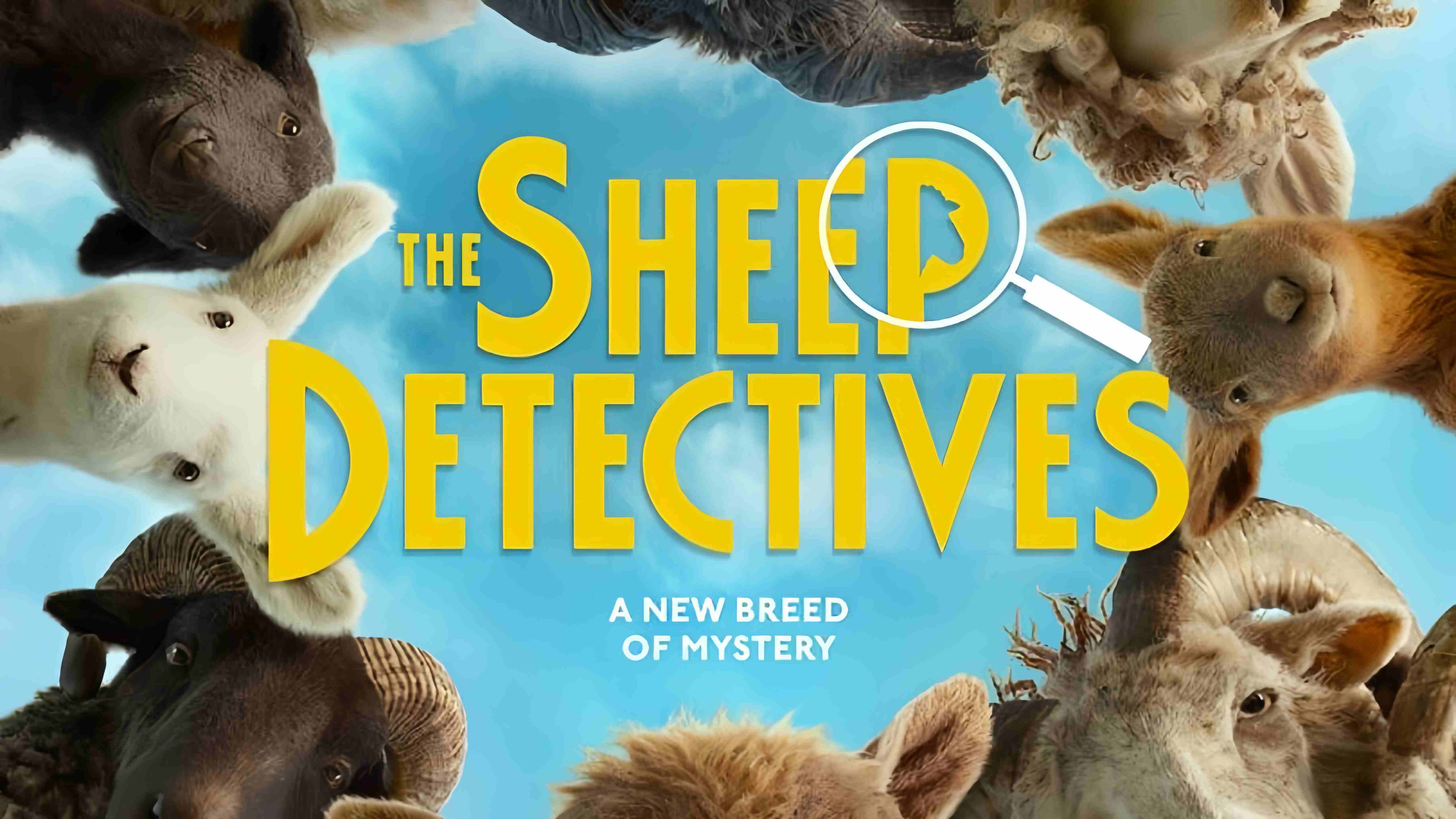 The Sheep Detectives